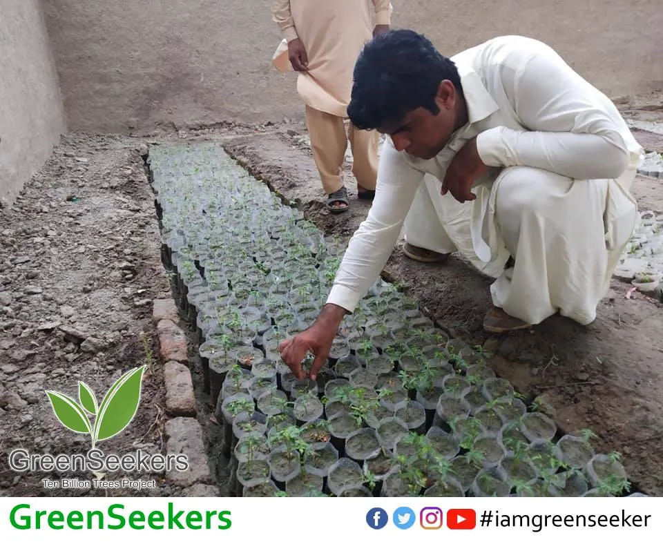 Green Seekers Activity